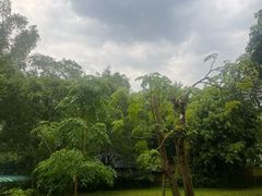 -野象谷景区