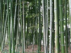 android_upload_pic-汇龙潭