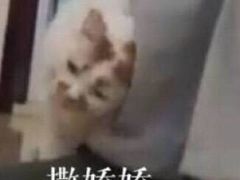 -素清香(解放路店)