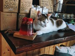 -251#coffee roasters(沿河东路店)
