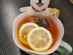 -逗柴咖啡屋·狗咖猫咖宠物桌游