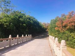 -上海海湾国家森林公园