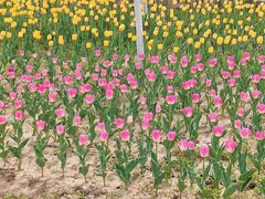 -商丘古城-应天书院