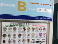 -康旭宠物医院(郑州总院)