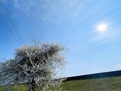 -云漫湖生态度假公园