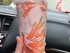 霸气西柚-奈雪的茶(漫广场店)