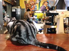 -咖法森林·咖啡  酒吧(天河店)