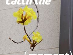 -晓港公园