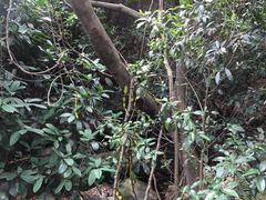-牛鱼嘴原始生态风景区