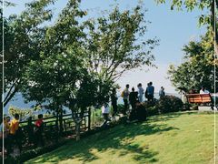 -铁山坪森林公园