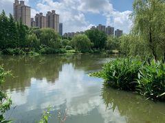 -潜龙渠公园