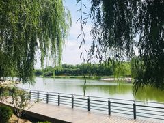 -大兴滨河森林公园