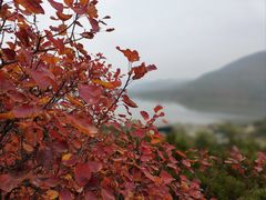-十三陵水库