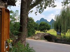 -村上春树