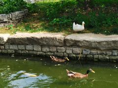 -三里河公园