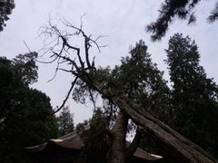android_upload_pic-南阳卧龙岗武侯祠