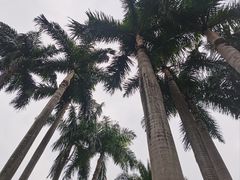 -南宁市动物园