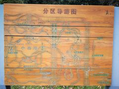 -上海鲜花港