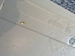 -上海外滩英迪格酒店