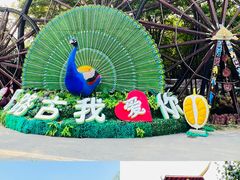-呀路古热带植物园
