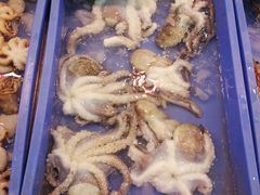 -琼菜王(南海店)