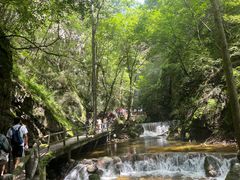 -牛背梁国家森林公园