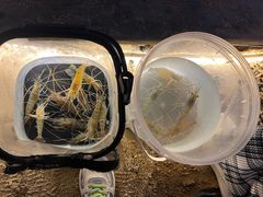 -DGE季风钓虾营地·团建·聚会