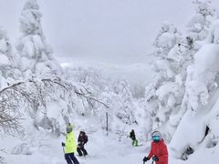 -零度滑雪室内训练中心(莘庄店)