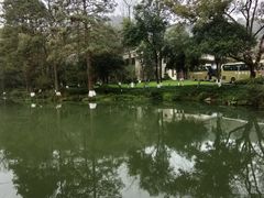 -杭州花家山庄