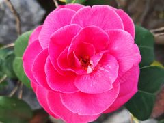 -老东吴食府(雅都店)