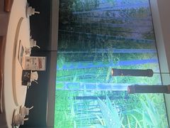 -原鄉本味 楚菜 丹江口鱼(北苑店)