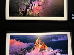 -罗红摄影艺术馆