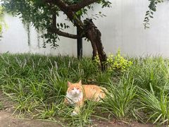 -北京鲁迅博物馆(北京新文化运动纪念馆鲁博馆区)