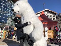 -富龙滑雪场