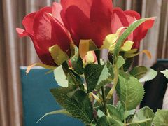 -全聚贤餐厅·湖北家常菜(沙湖店)