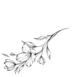 -针牛刺客·刺青纹身