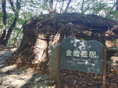 -五女山景区
