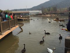 -无锡动物园·太湖欢乐园