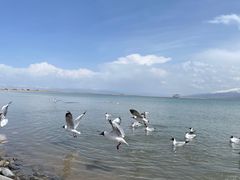 -青海湖二郎剑景区
