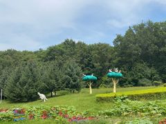 -哈尔滨北方森林动物园