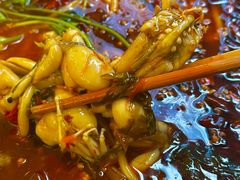 -鸿顺老铁锅美蛙鱼府(解放碑店)
