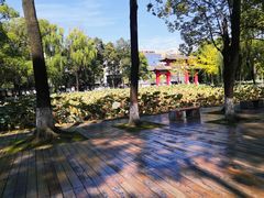 -四川大学(望江校区)