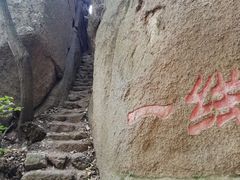 -六里坪国家森林公园