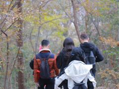 -紫金山山顶公园