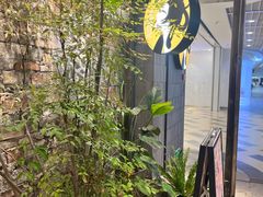 -茶理宜世(东方宝泰店)