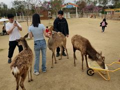 -盈香心动乐园