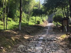 -仙霞关景区