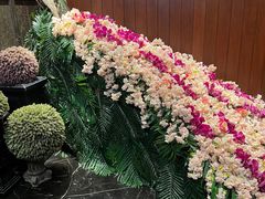 -半岛翡丽海鲜自助餐厅(观风亭店)