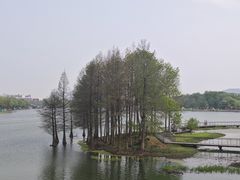 -长广溪湿地公园