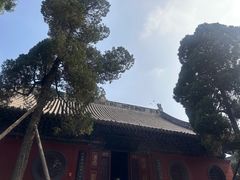 -洛阳白马寺